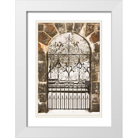 Winterthur Gate White Modern Wood Framed Art Print with Double Matting by Aledanda