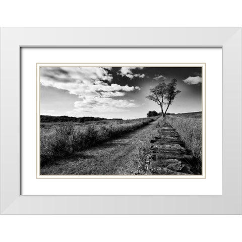 Stone Wall White Modern Wood Framed Art Print with Double Matting by Aledanda