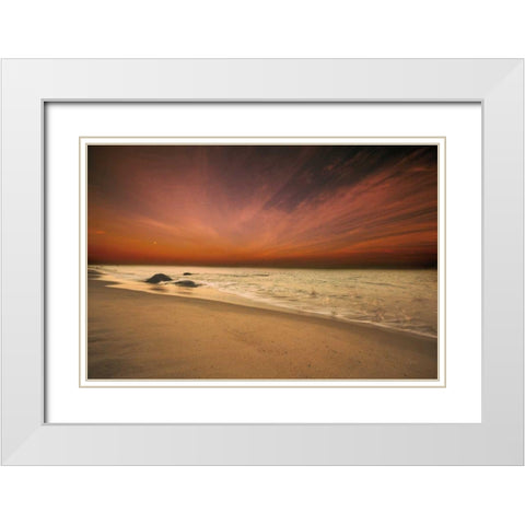 Marthas Vineyard Beach III White Modern Wood Framed Art Print with Double Matting by Aledanda