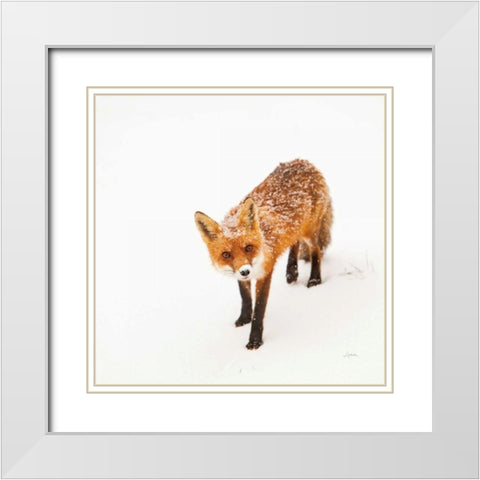 Red Fox II White Modern Wood Framed Art Print with Double Matting by Aledanda