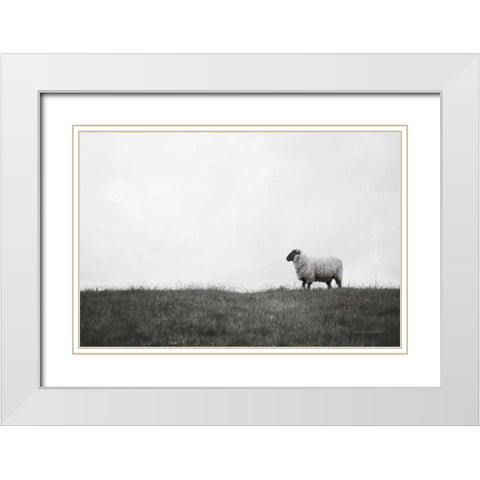 Islay Sheep II White Modern Wood Framed Art Print with Double Matting by Marshall, Laura