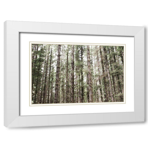 Mossy Pines White Modern Wood Framed Art Print with Double Matting by Marshall, Laura