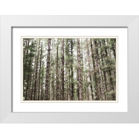 Mossy Pines White Modern Wood Framed Art Print with Double Matting by Marshall, Laura