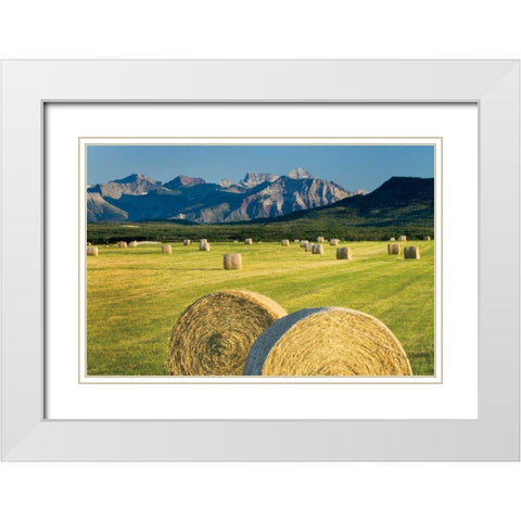 Waterton Hay Bales White Modern Wood Framed Art Print with Double Matting by Majchrowicz, Alan
