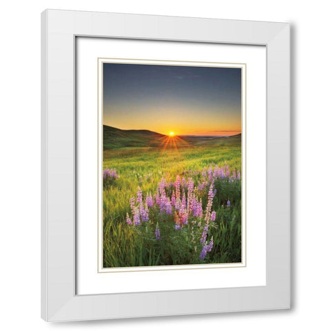 Prairie Sunrise White Modern Wood Framed Art Print with Double Matting by Majchrowicz, Alan