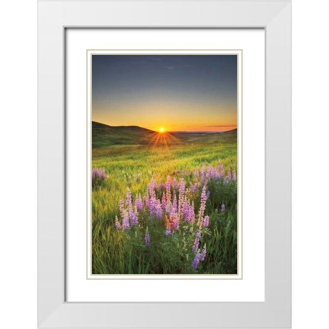 Prairie Sunrise White Modern Wood Framed Art Print with Double Matting by Majchrowicz, Alan