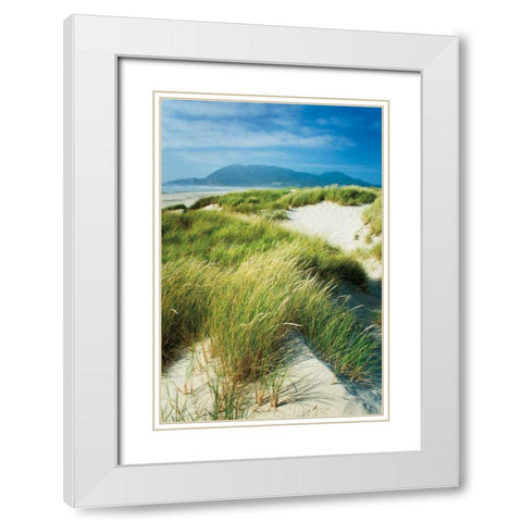 Oregon Dunes Grass White Modern Wood Framed Art Print with Double Matting by Majchrowicz, Alan