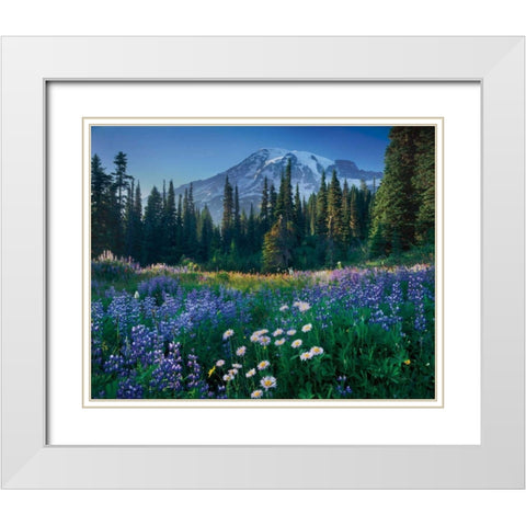 Mount Rainier White Modern Wood Framed Art Print with Double Matting by Majchrowicz, Alan