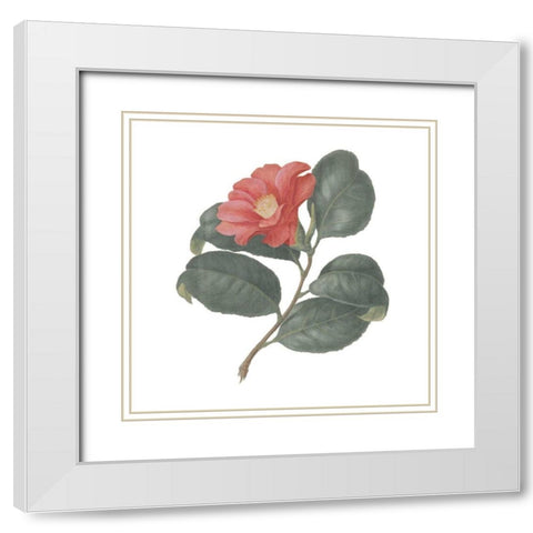 Monument Etching Tile Flowers VII White Modern Wood Framed Art Print with Double Matting by Wild Apple Portfolio