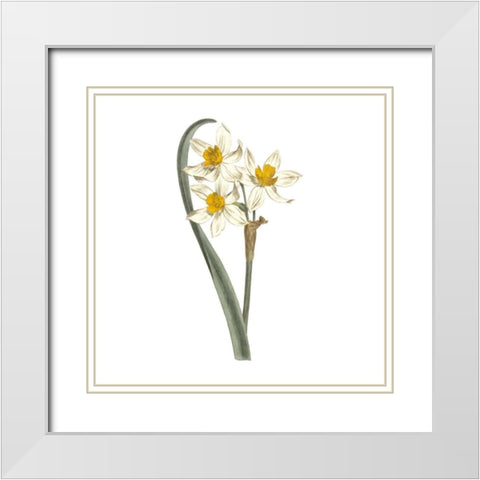 Monument Etching Tile Flowers VIII White Modern Wood Framed Art Print with Double Matting by Wild Apple Portfolio