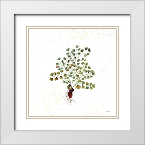 Botticelli Plants II White Modern Wood Framed Art Print with Double Matting by Rice, Kristy
