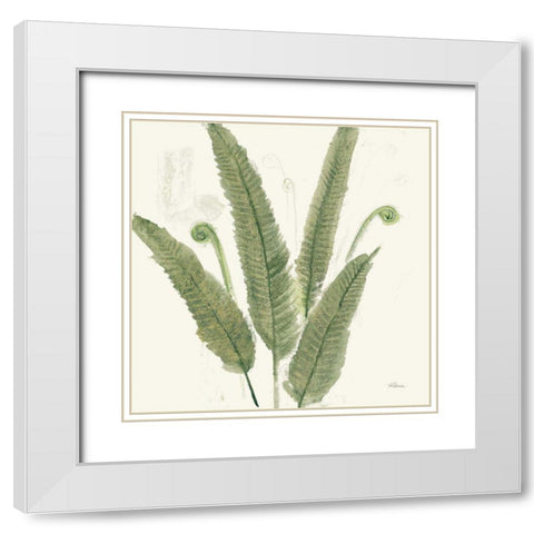 Forest Ferns II Dark White Modern Wood Framed Art Print with Double Matting by Hristova, Albena