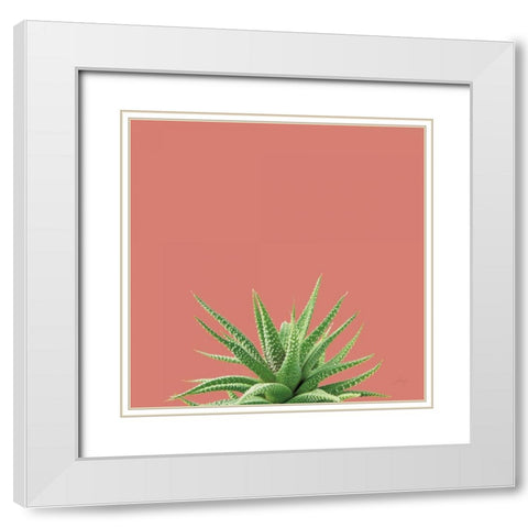 Succulent Simplicity I Coral White Modern Wood Framed Art Print with Double Matting by Bradley, Felicity