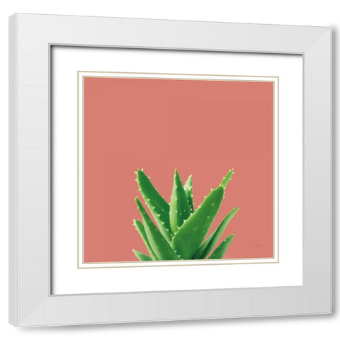 Succulent Simplicity V Coral White Modern Wood Framed Art Print with Double Matting by Bradley, Felicity