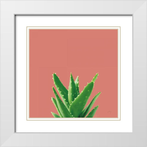 Succulent Simplicity V Coral White Modern Wood Framed Art Print with Double Matting by Bradley, Felicity