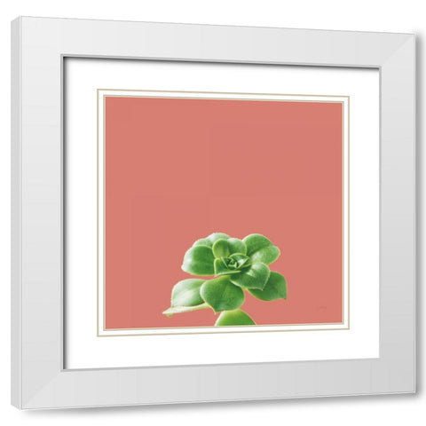 Succulent Simplicity VII Coral White Modern Wood Framed Art Print with Double Matting by Bradley, Felicity