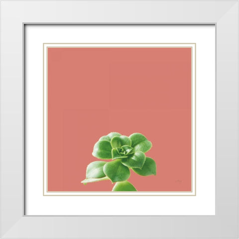 Succulent Simplicity VII Coral White Modern Wood Framed Art Print with Double Matting by Bradley, Felicity