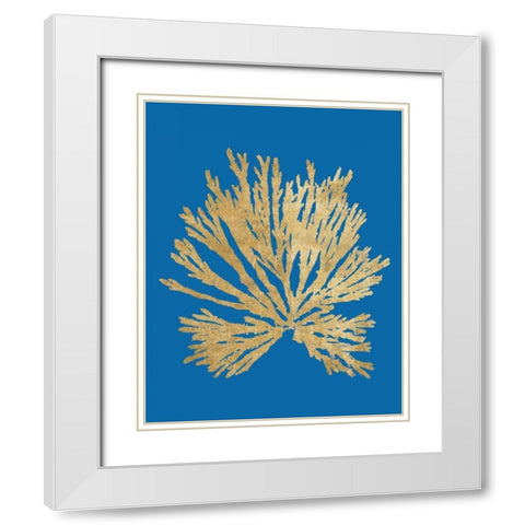 Pacific Sea Mosses II Blue White Modern Wood Framed Art Print with Double Matting by Wild Apple Portfolio