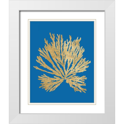 Pacific Sea Mosses II Blue White Modern Wood Framed Art Print with Double Matting by Wild Apple Portfolio