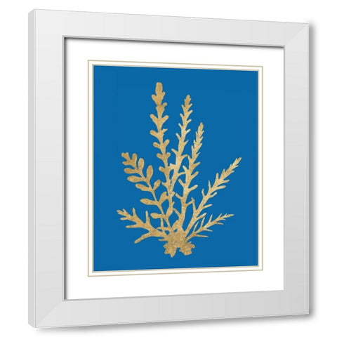 Pacific Sea Mosses III Blue White Modern Wood Framed Art Print with Double Matting by Wild Apple Portfolio