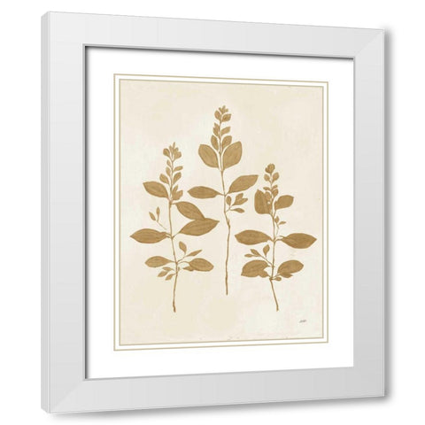 Botanical Study IV Gold Crop White Modern Wood Framed Art Print with Double Matting by Purinton, Julia