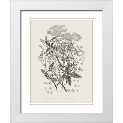 Flowering Plants I Neutral White Modern Wood Framed Art Print with Double Matting by Wild Apple Portfolio