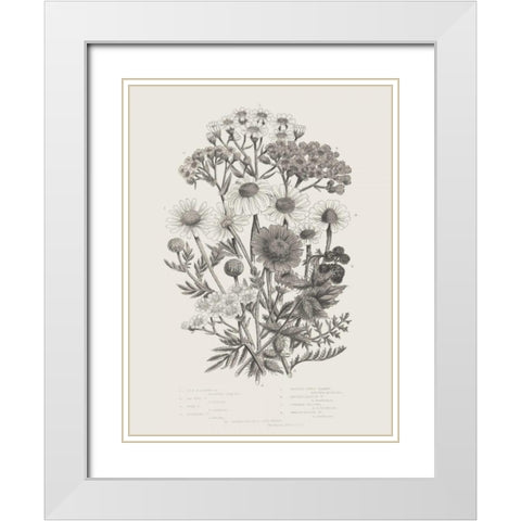 Flowering Plants V Neutral White Modern Wood Framed Art Print with Double Matting by Wild Apple Portfolio