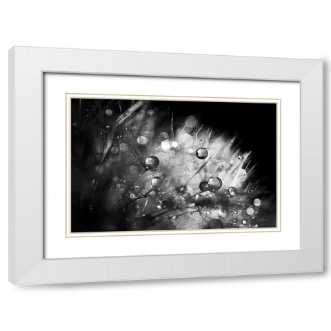 Dandelion Abstract I White Modern Wood Framed Art Print with Double Matting by Marshall, Laura