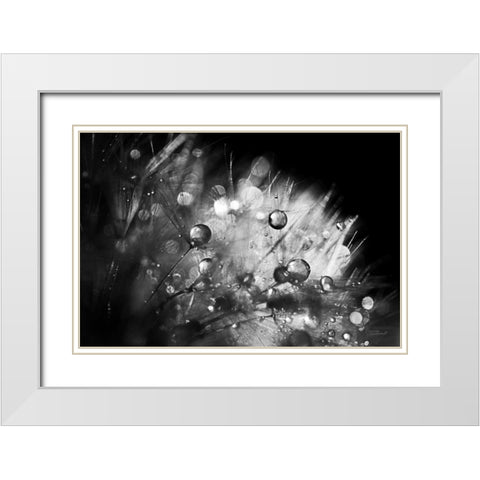 Dandelion Abstract I White Modern Wood Framed Art Print with Double Matting by Marshall, Laura