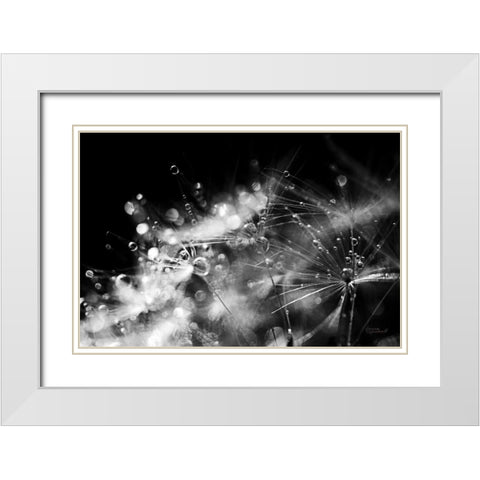 Dandelion Abstract II White Modern Wood Framed Art Print with Double Matting by Marshall, Laura