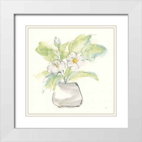 Plant Poppy II White Modern Wood Framed Art Print with Double Matting by Paschke, Chris