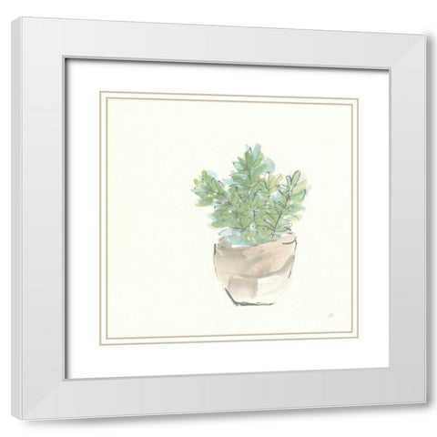 Succulent II White Modern Wood Framed Art Print with Double Matting by Paschke, Chris