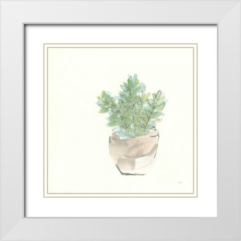 Succulent II White Modern Wood Framed Art Print with Double Matting by Paschke, Chris