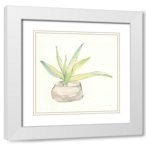 Succulent III White Modern Wood Framed Art Print with Double Matting by Paschke, Chris