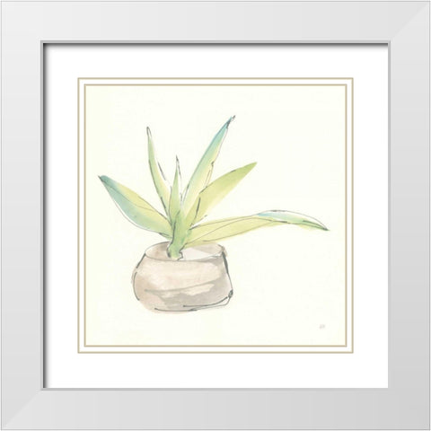 Succulent III White Modern Wood Framed Art Print with Double Matting by Paschke, Chris