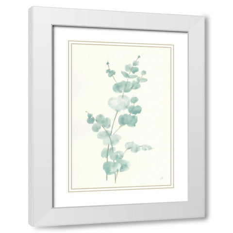 Eucalyptus Branch II White Modern Wood Framed Art Print with Double Matting by Paschke, Chris