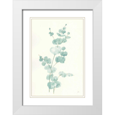 Eucalyptus Branch II White Modern Wood Framed Art Print with Double Matting by Paschke, Chris