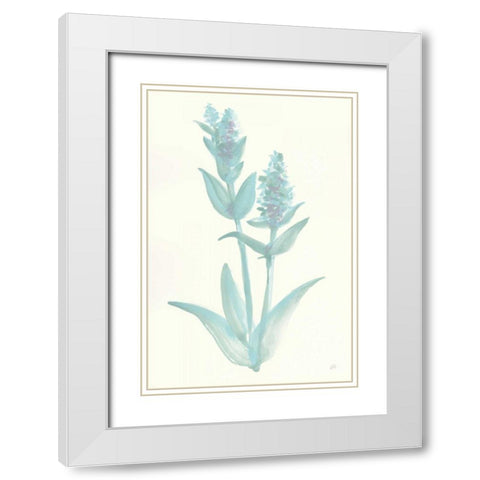 Lambs Ear Sage I White Modern Wood Framed Art Print with Double Matting by Paschke, Chris