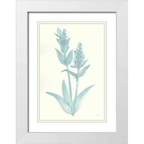 Lambs Ear Sage I White Modern Wood Framed Art Print with Double Matting by Paschke, Chris