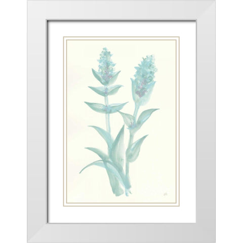 Lambs Ear Sage II White Modern Wood Framed Art Print with Double Matting by Paschke, Chris