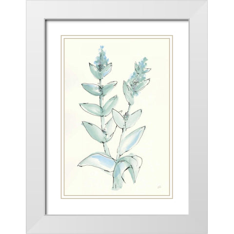 Lambs Ear Sage III White Modern Wood Framed Art Print with Double Matting by Paschke, Chris