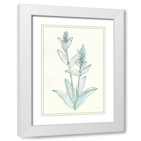 Lambs Ear Sage IV White Modern Wood Framed Art Print with Double Matting by Paschke, Chris
