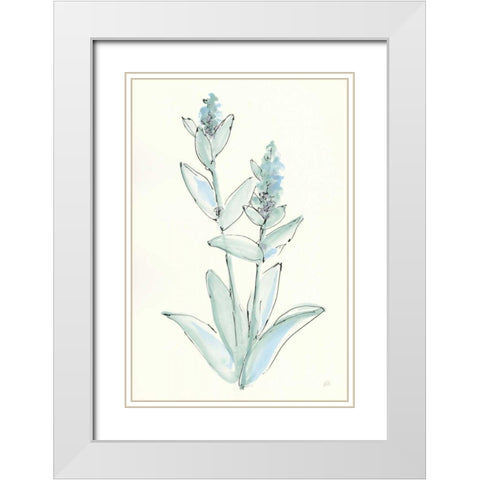 Lambs Ear Sage IV White Modern Wood Framed Art Print with Double Matting by Paschke, Chris