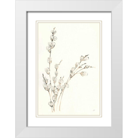 Pussy Willows V White Modern Wood Framed Art Print with Double Matting by Paschke, Chris