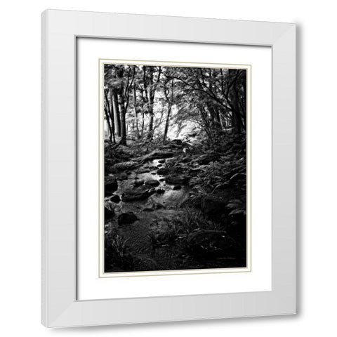 Lush Creek in Forest BW White Modern Wood Framed Art Print with Double Matting by Van Swearingen, Debra