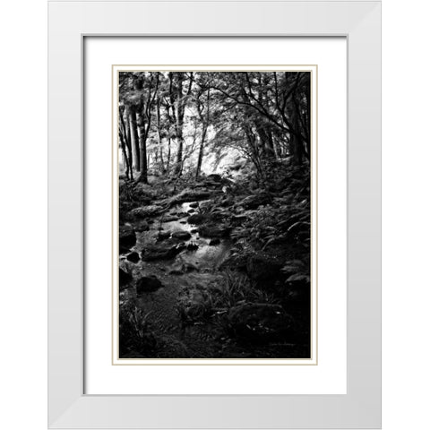 Lush Creek in Forest BW White Modern Wood Framed Art Print with Double Matting by Van Swearingen, Debra