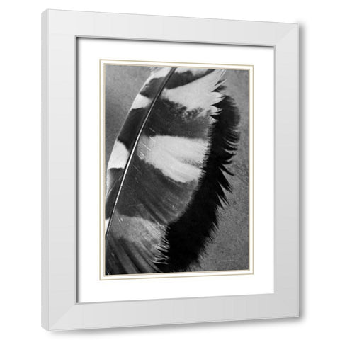 Feather Shadow I White Modern Wood Framed Art Print with Double Matting by Van Swearingen, Debra
