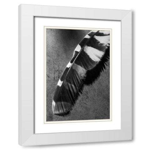 Feather Shadow II White Modern Wood Framed Art Print with Double Matting by Van Swearingen, Debra
