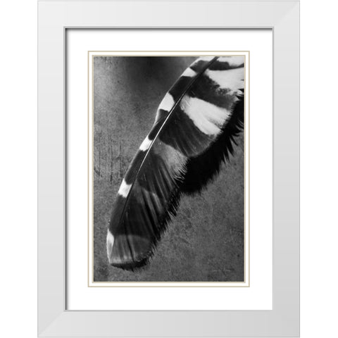 Feather Shadow II White Modern Wood Framed Art Print with Double Matting by Van Swearingen, Debra