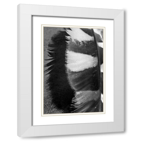 Feather Shadow III White Modern Wood Framed Art Print with Double Matting by Van Swearingen, Debra